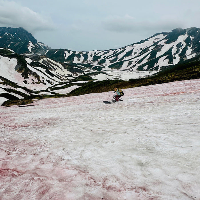 T3 Fork Prototype Test Ride in Tateyama, Japan Final Natural Snow Session of the 2026 Snowscoot Season
